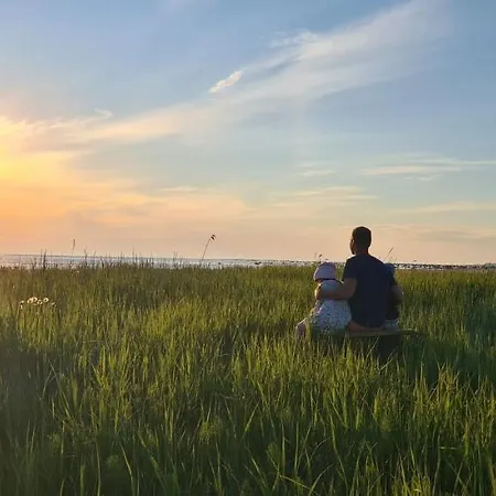 Laagriplats Rannametsa Puhkekeskus *