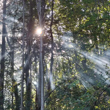 Rannametsa Puhkekeskus Camping Paope