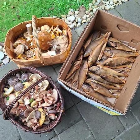 Rannametsa Puhkekeskus *