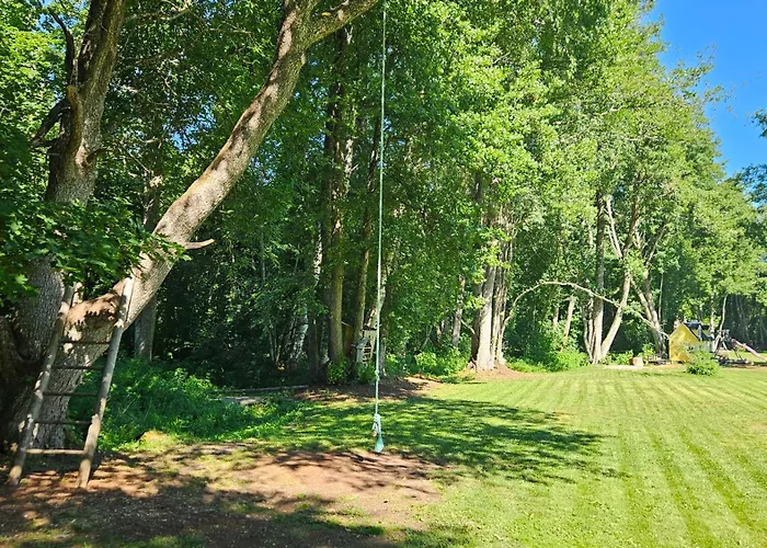 Camping Rannametsa Puhkekeskus Paope