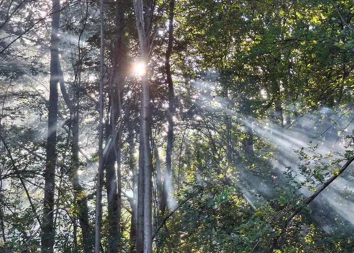 Rannametsa Puhkekeskus Camping Paope