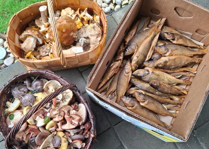 Rannametsa Puhkekeskus *